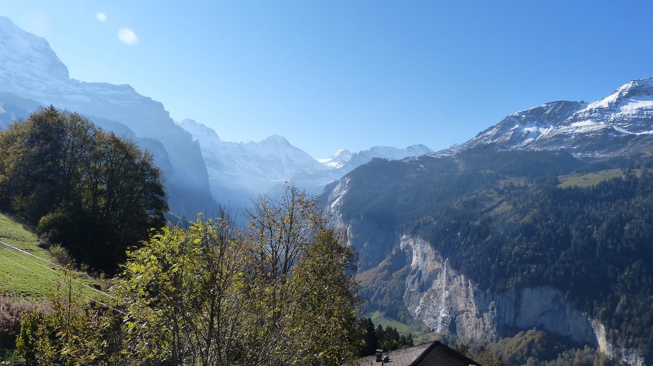 Chalet Bergkristall Wengen Exteriér fotografie